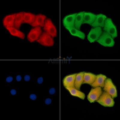 Валидация Affinity DF14492 - 10476