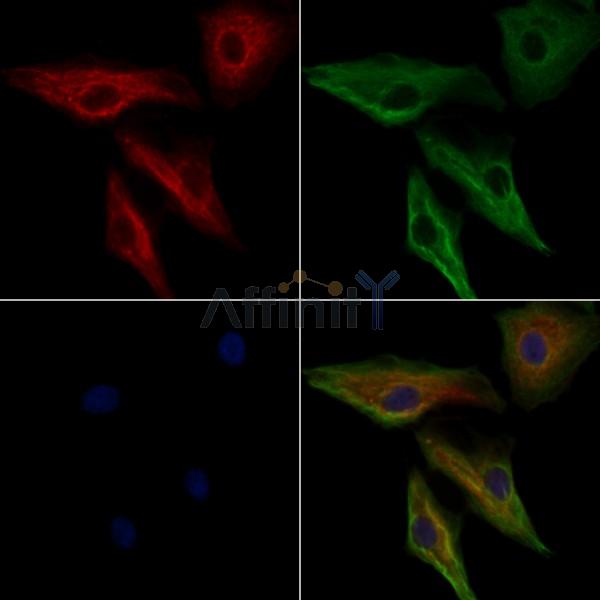 Валидация Affinity DF6110 - 17327