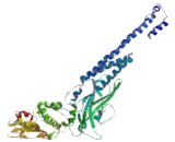 Signal Transducer And Activator Of Transcription 6 (STAT6) Signal Transducer And Activator Of Transcription 6 (STAT6)