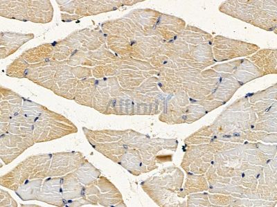 Валидация Affinity DF3889 - 15052