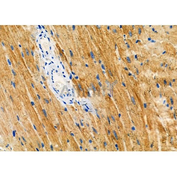 Валидация Affinity DF6129 - 17355