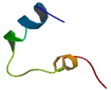 Olfactory Receptor 2T27 (OR2T27) Olfactory Receptor 2T27 (OR2T27)