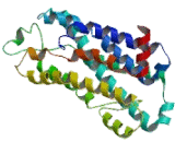 Somatostatin Receptor 4 (SSTR4) Somatostatin Receptor 4 (SSTR4)
