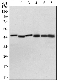 Валидация Affinity BF0312 - 5214
