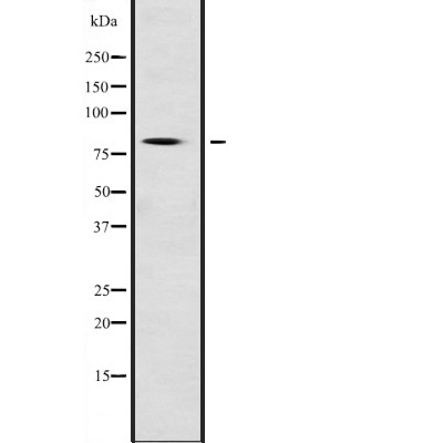 Валидация Affinity DF2217 - 12745