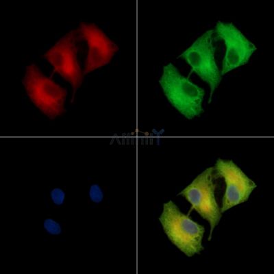 Валидация Affinity DF13993 - 9747