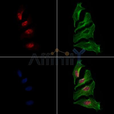 Валидация Affinity AF6233 - 3471