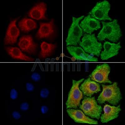 Валидация Affinity DF7690 - 19471