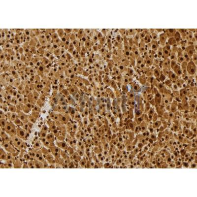 Валидация Affinity DF7434 - 19179