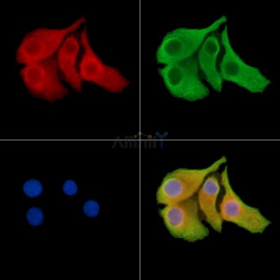 Валидация Affinity DF14122 - 9917