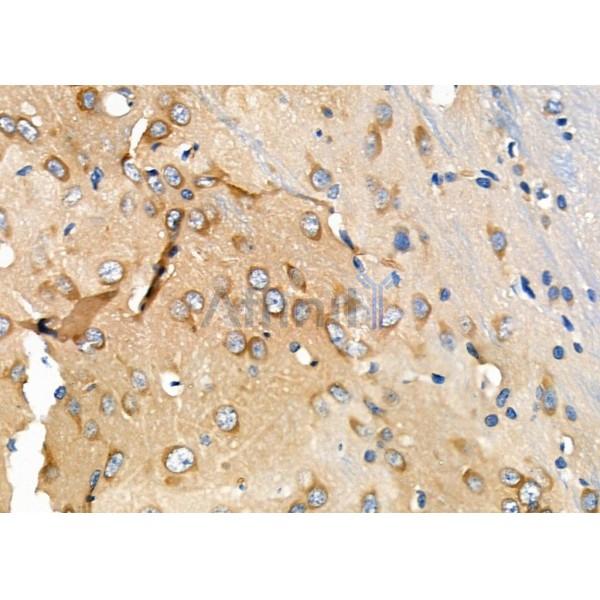 Валидация Affinity DF9354 - 21858