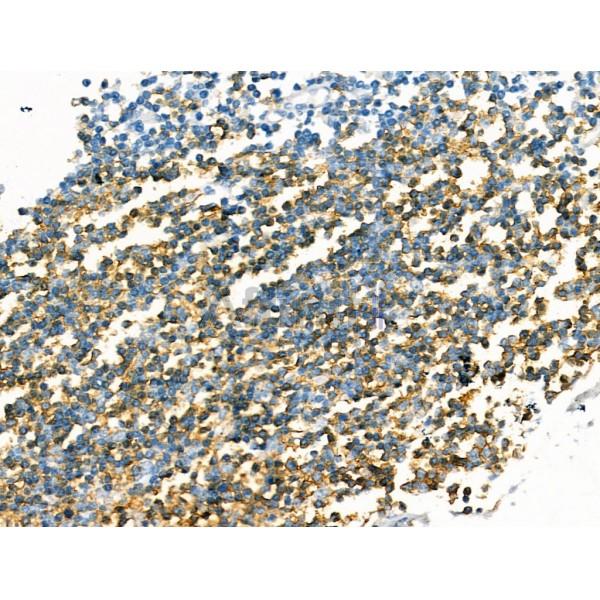 Валидация Affinity DF13319 - 8485