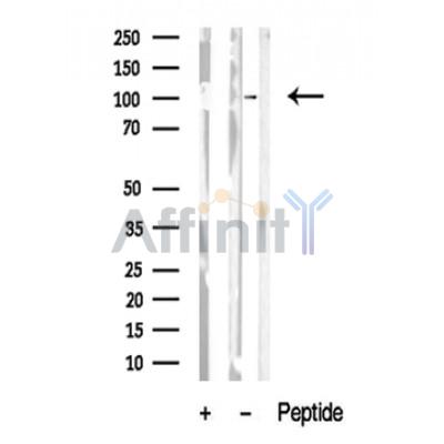 Валидация Affinity DF10321 - 5942