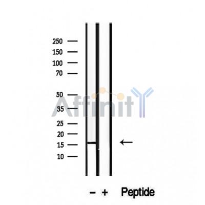 Валидация Affinity DF12468 - 7016