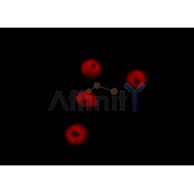 Валидация Affinity DF7376 - 19104