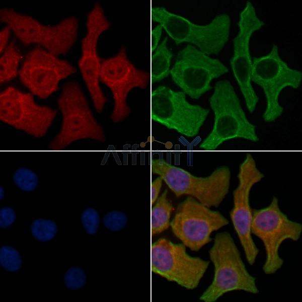 Валидация Affinity DF5137 - 17093