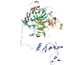 Protocadherin Alpha 3 (PCDHa3) Protocadherin Alpha 3 (PCDHa3)