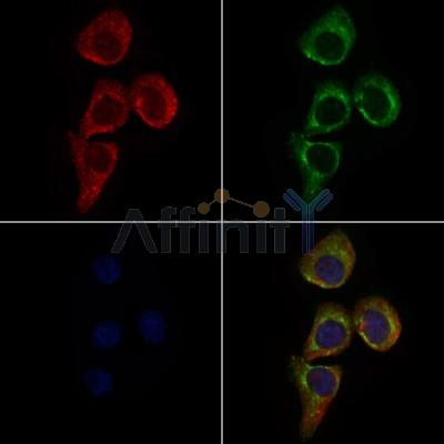 Валидация Affinity DF6313 - 17641