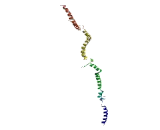 Cytoskeleton Associated Protein 4 (CKAP4) Cytoskeleton Associated Protein 4 (CKAP4)