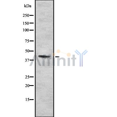 Валидация Affinity DF8125 - 19976
