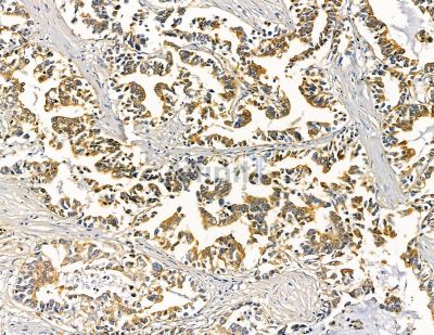 Валидация Affinity DF9506 - 22137