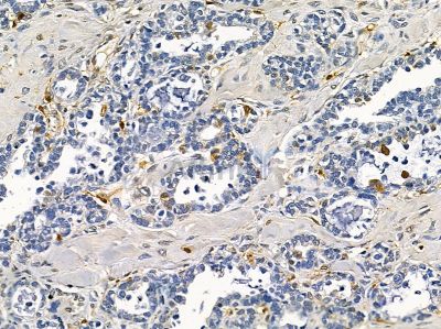 Валидация Affinity DF16080 - 12642