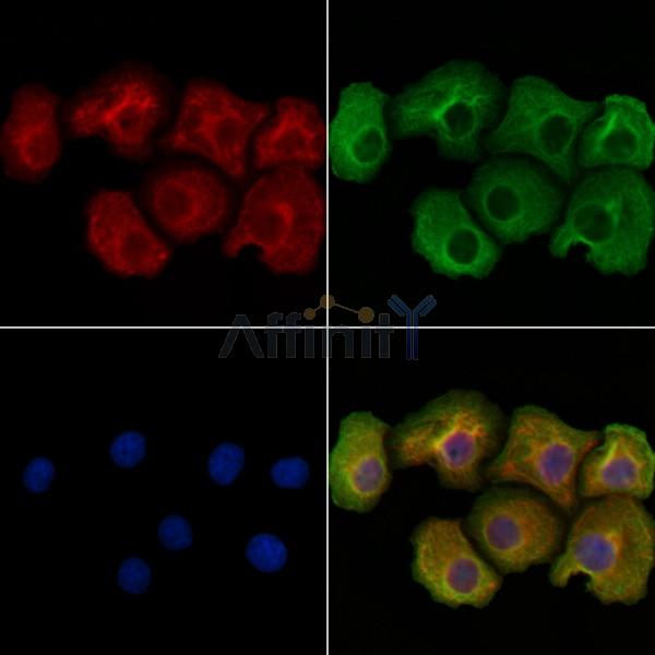 Валидация Affinity DF2707 - 13422