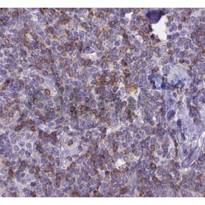 Валидация Affinity AF5146 - 2543