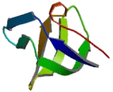 CD2 Associated Protein (CD2AP) CD2 Associated Protein (CD2AP)