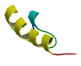Zinc Finger Protein 238 (ZNF238)