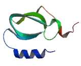 Vasoactive Intestinal Peptide Receptor 2 (VIPR2) Vasoactive Intestinal Peptide Receptor 2 (VIPR2)