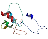 Chemokine C-C-Motif Receptor Like Protein 2 (CCRL2) Chemokine C-C-Motif Receptor Like Protein 2 (CCRL2)