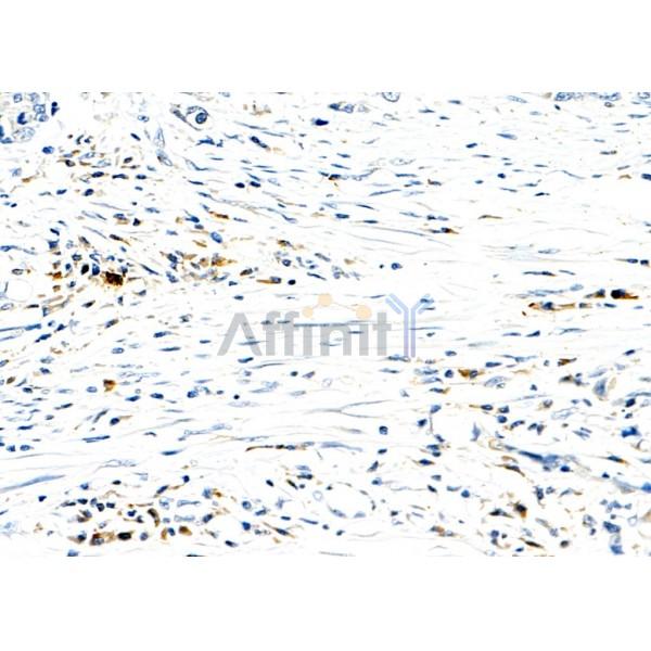 Валидация Affinity DF9872 - 22809