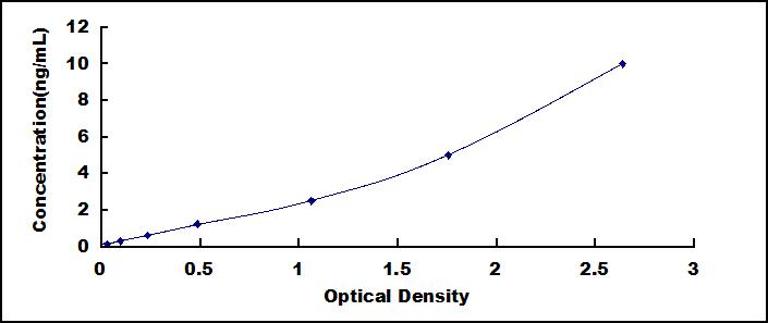 49608