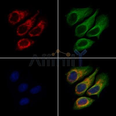 Валидация Affinity DF13577 - 9045