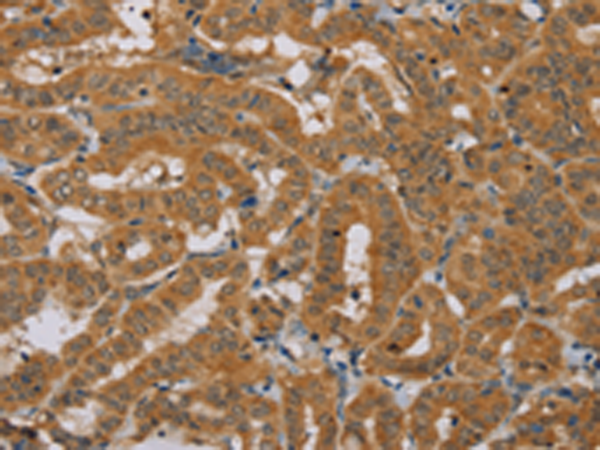 Валидация AssayVector ARM1048(134)