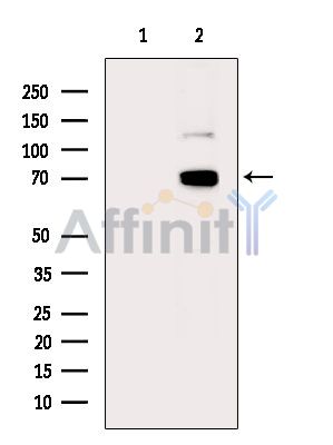 Валидация Affinity AF6919 - 4114