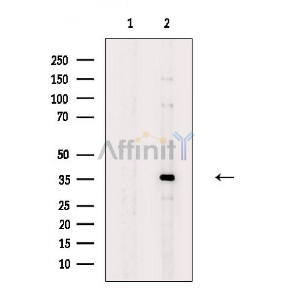 Валидация Affinity DF8711 - 20707