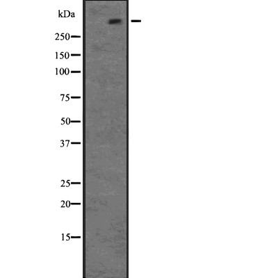 Валидация Affinity DF2668 - 13366