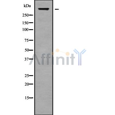 Валидация Affinity DF10209 - 5767