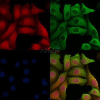 Валидация Affinity AF5401 - 3046