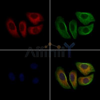 Валидация Affinity AF7748 - 4450