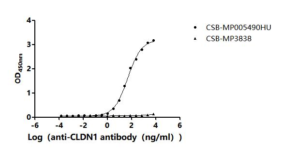 Функциональный ИФА: связывание рекомбинантного антитела с CLDN1
