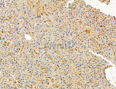 Валидация Affinity DF14791 - 10887