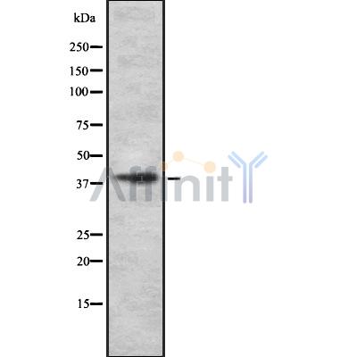 Валидация Affinity DF8719 - 20724
