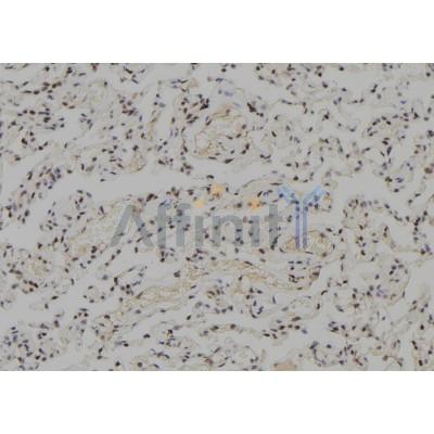 Валидация Affinity DF8369 - 20237