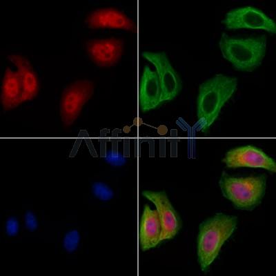 Валидация Affinity AF6004 - 3189