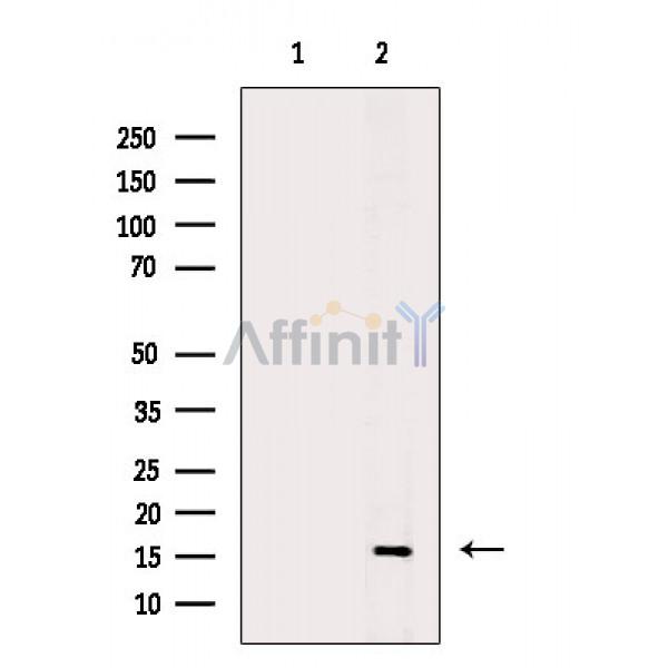 Валидация Affinity DF6932 - 18539