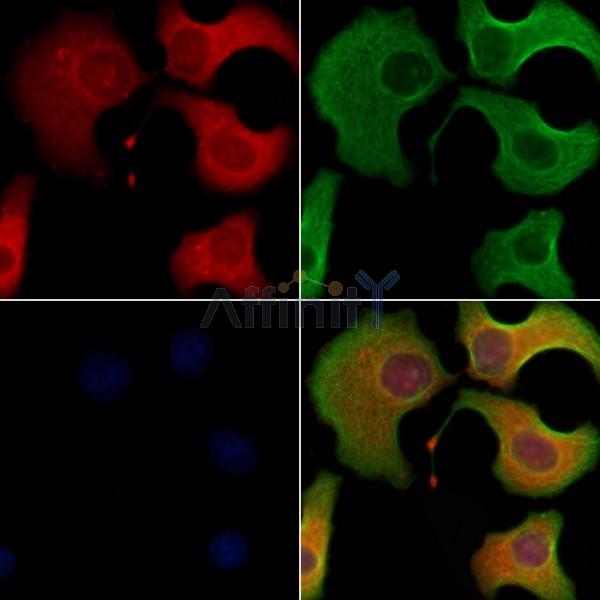 Валидация Affinity DF8578 - 20483