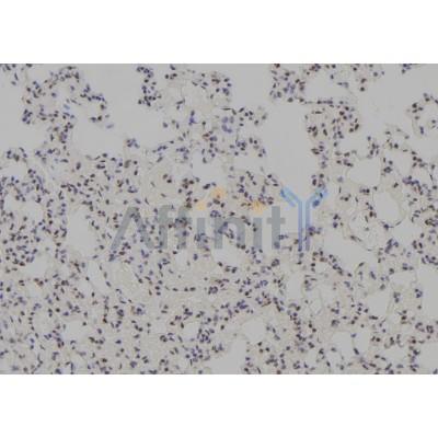 Валидация Affinity DF8830 - 20896